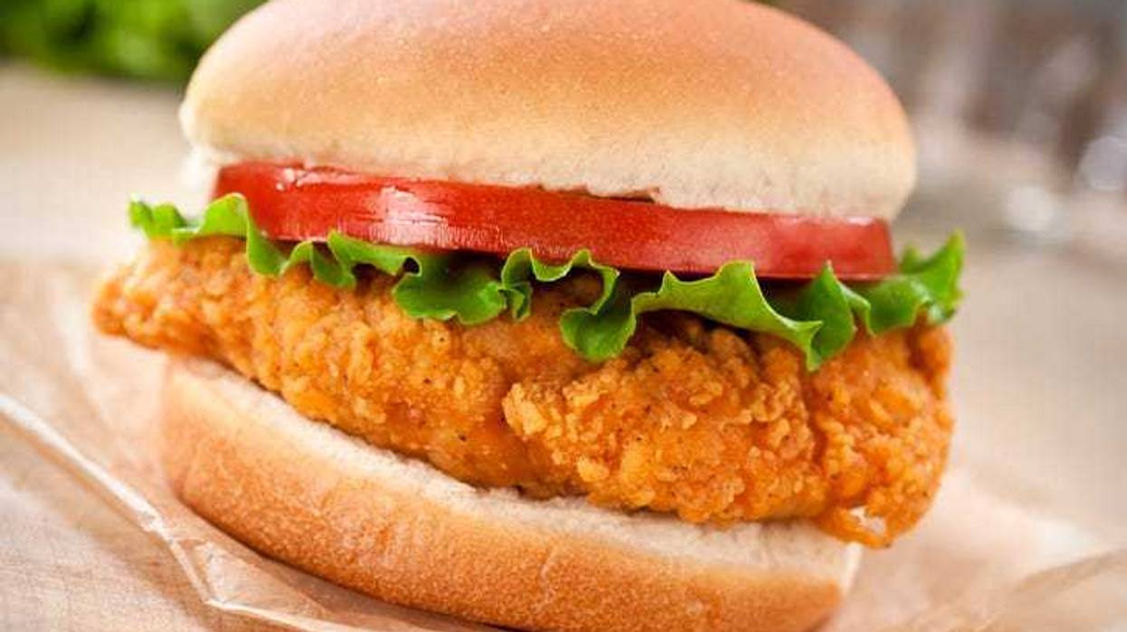 chicken sandwich