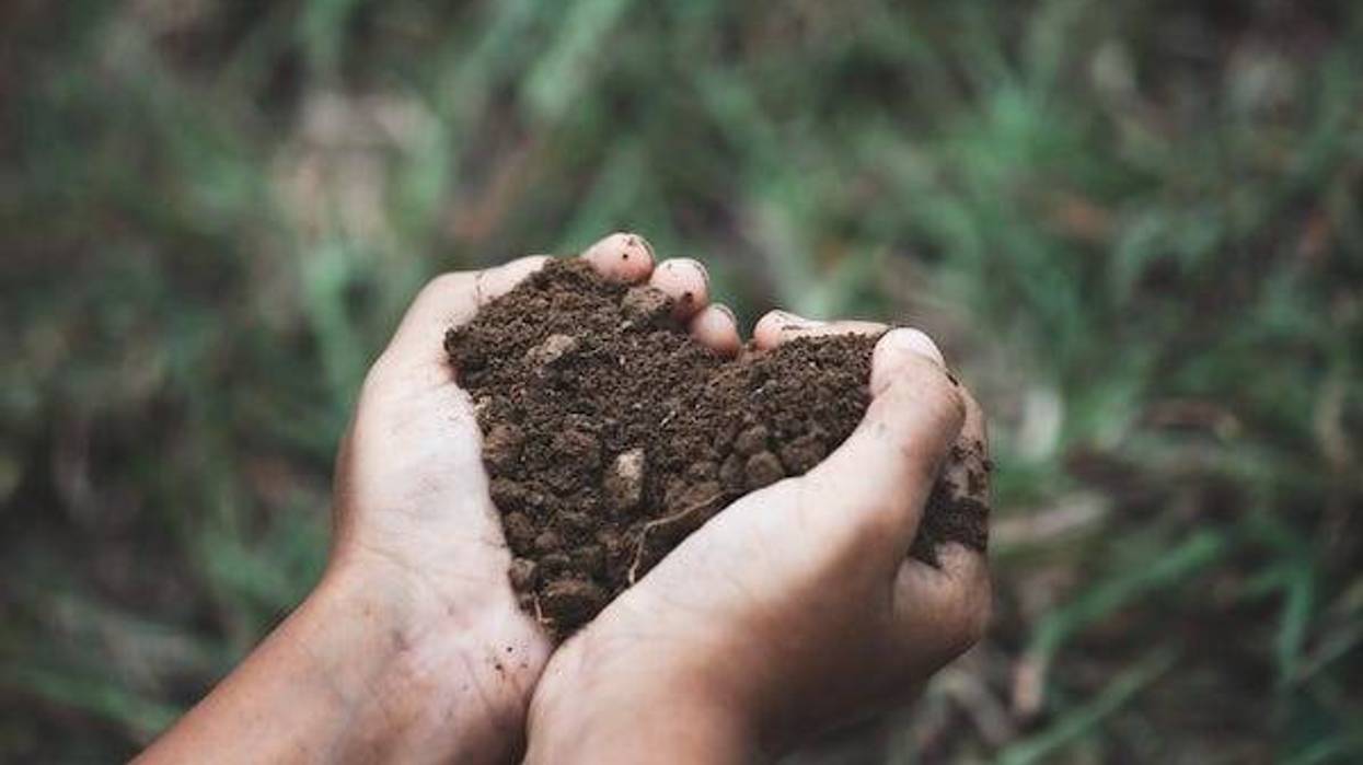 Child holding soil in the shape of a heart in hands