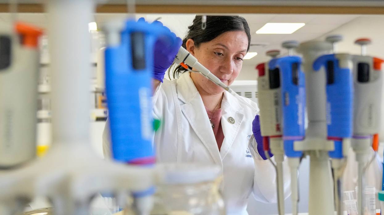 Chile Hantavirus Research 2