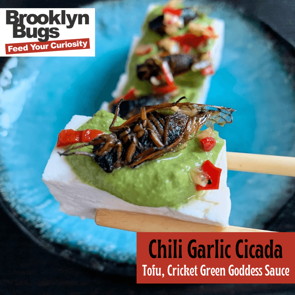 Chili Garlic Cicada
