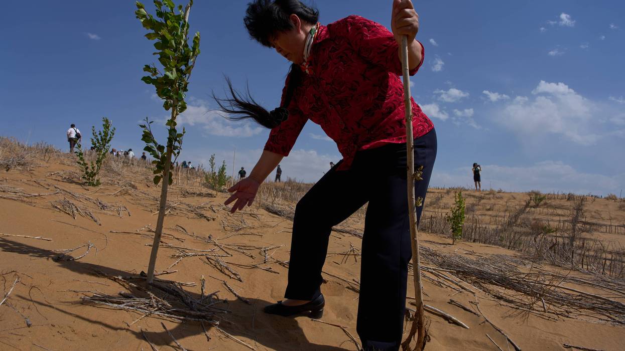 China Desert Control