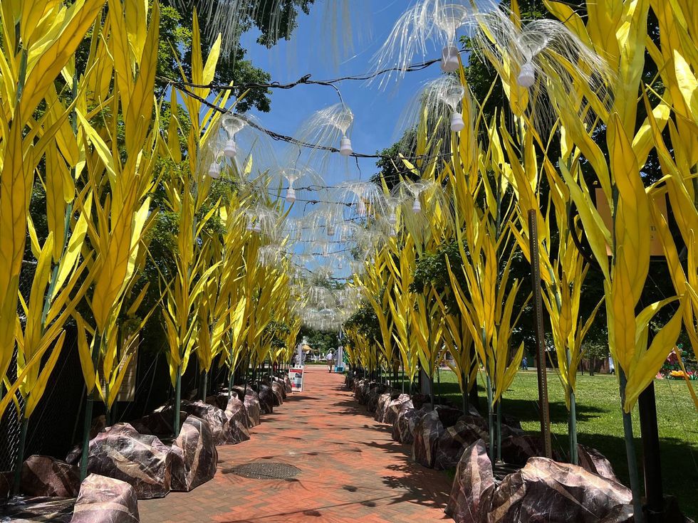 Chinese Lantern Festival