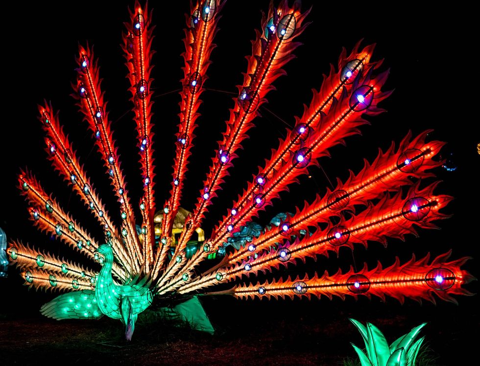 Chinese Lantern Festival