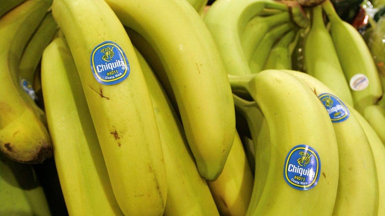 chiquita platanos