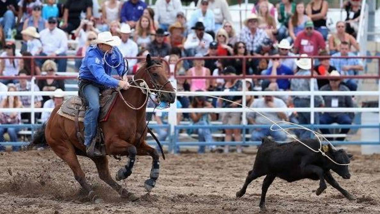 Christian Petersen / Staff Editorial #: 451748178 Collection: Getty Images Sport