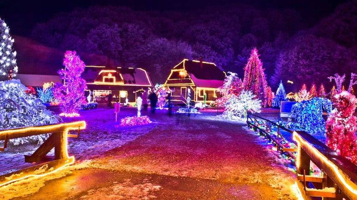 Christmas Lights, Neighborhood