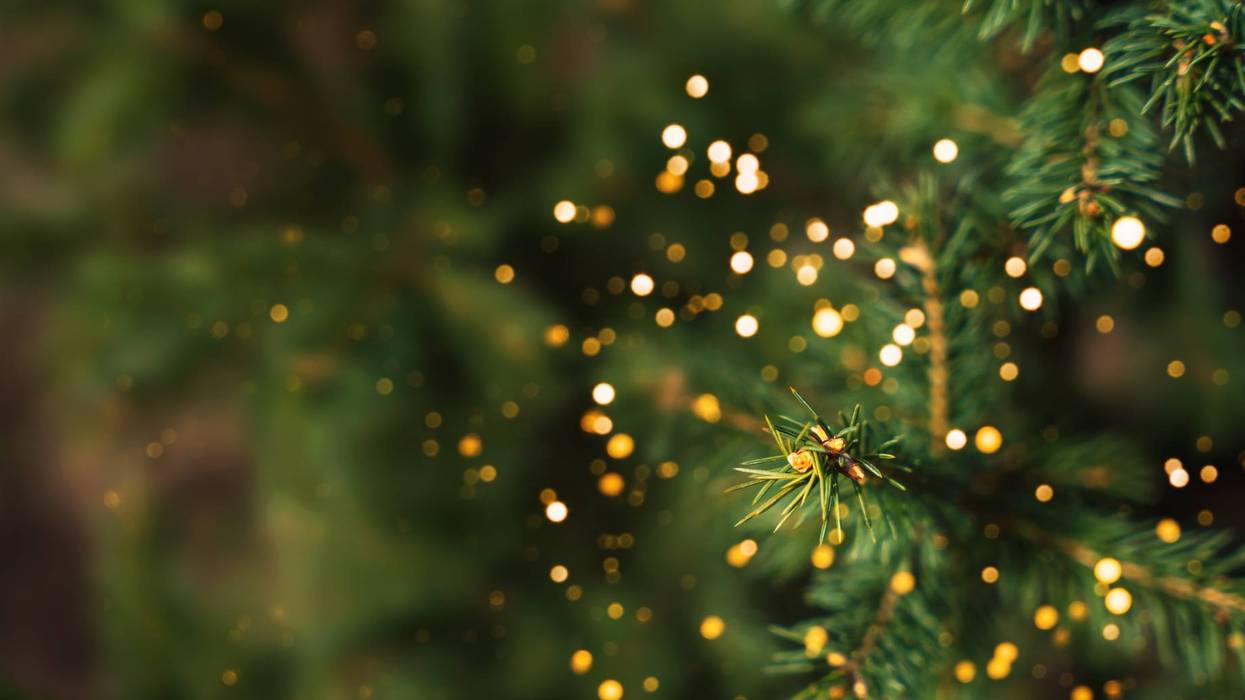 Christmas tree background
