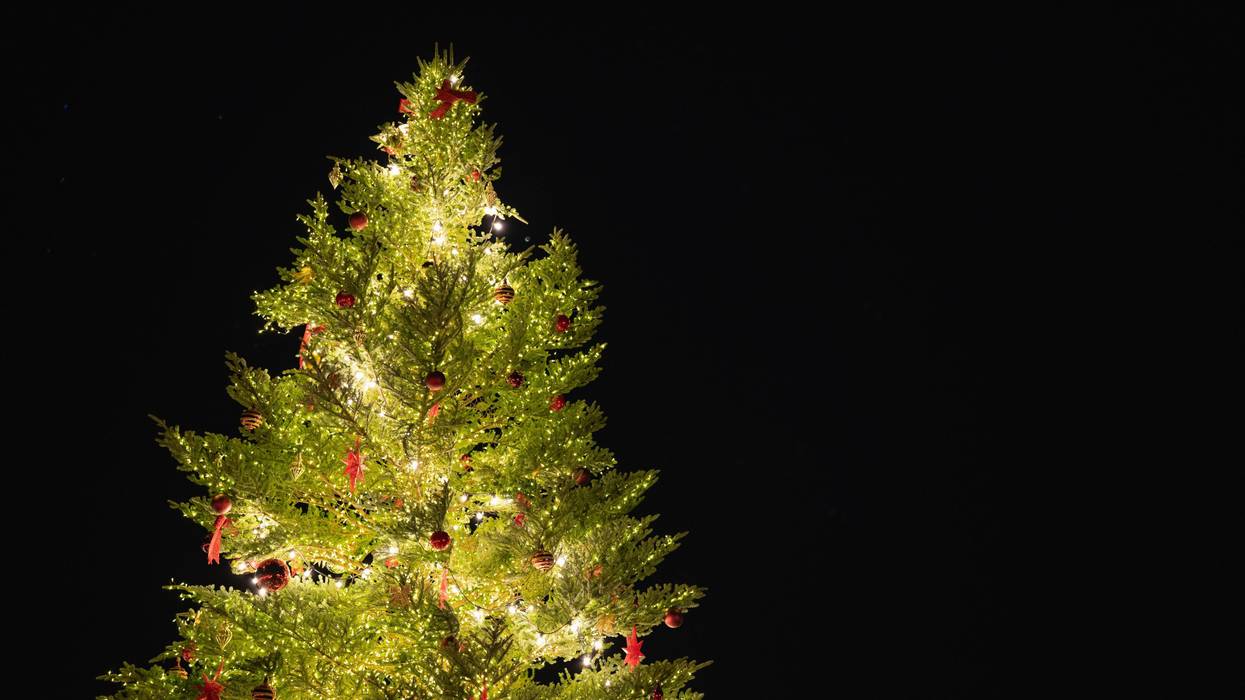 Christmas tree lighting