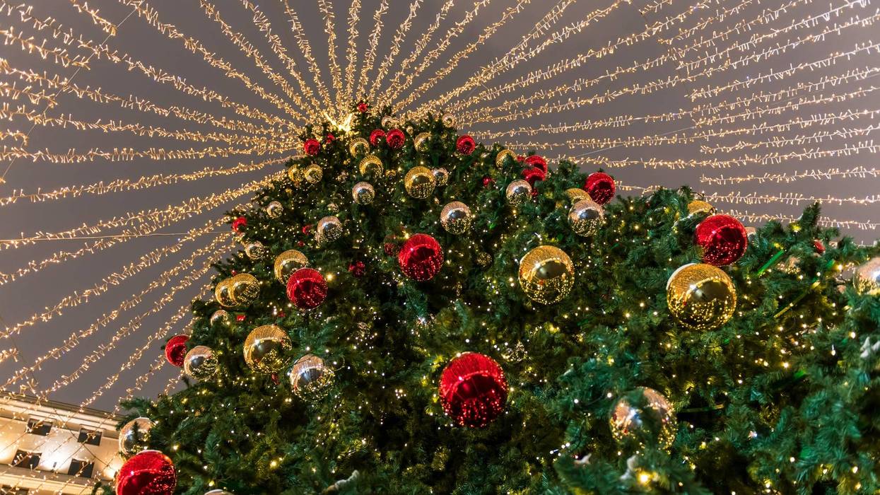 Christmas Tree Lighting