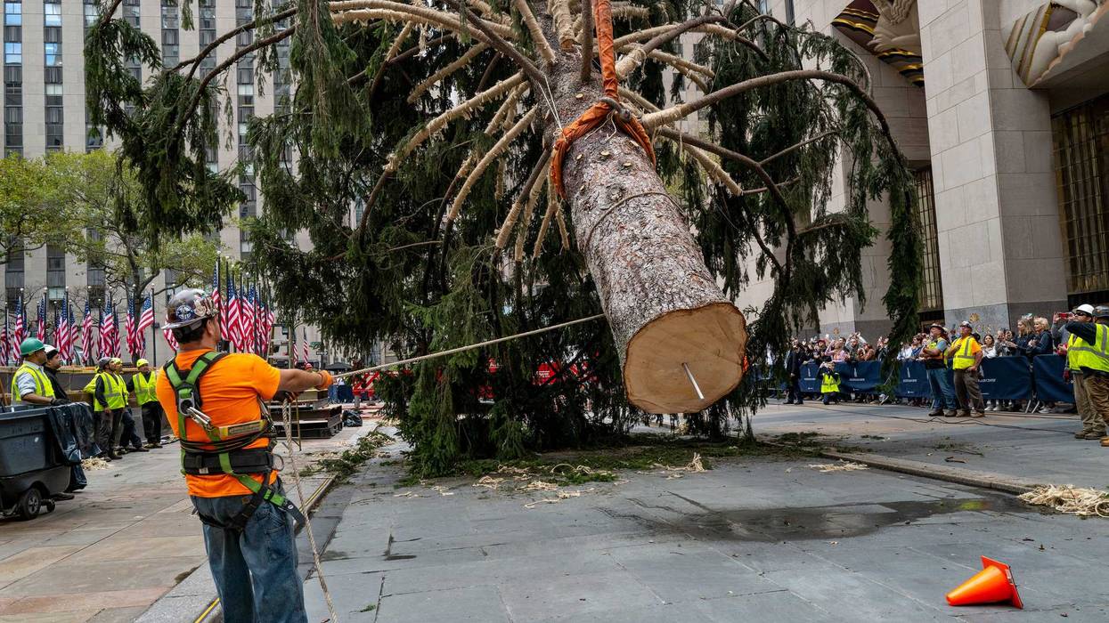 Christmas Tree Rockefeller Center