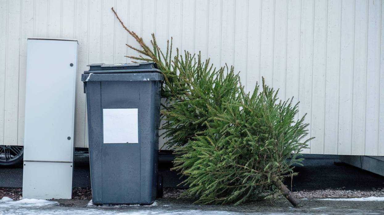 Christmas Tree