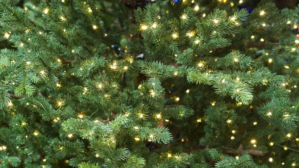 Christmas Tree