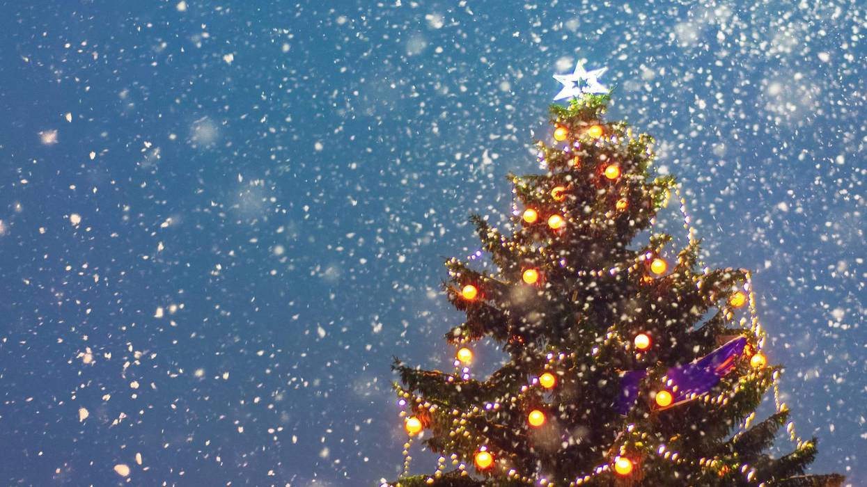 christmas tree