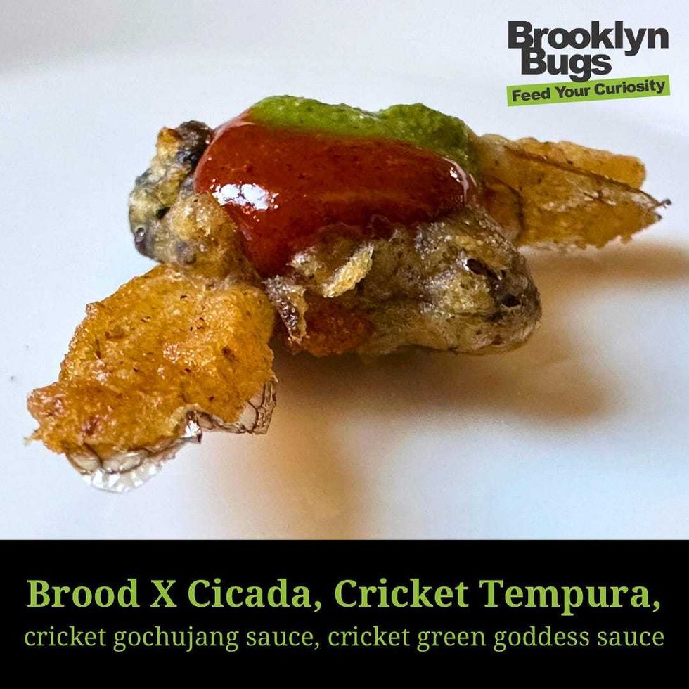 Cicada, Cricket Tempura