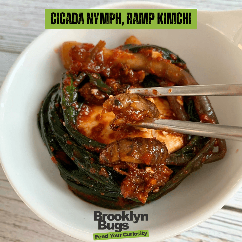 Cicada Kimchi