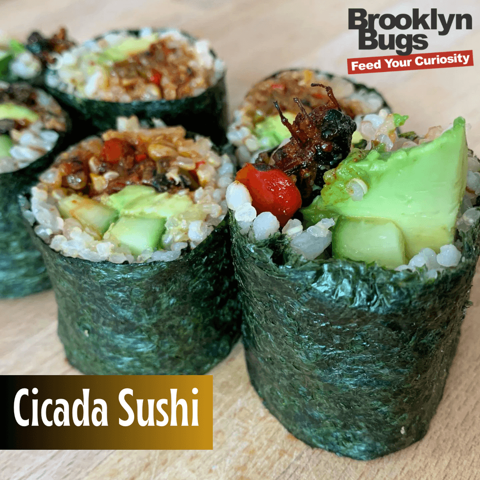 Cicada Sushi