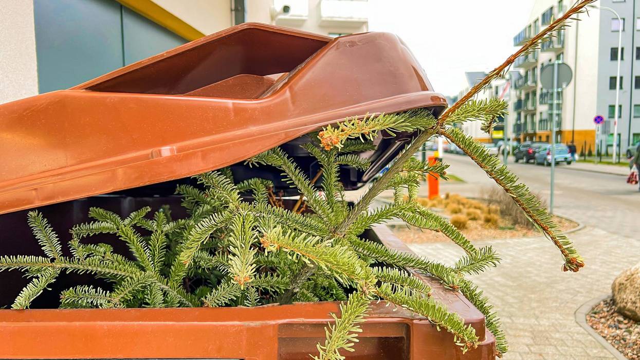 Cities across Dallas–Fort Worth are offering residents multiple ways to recycle real Christmas trees as the holiday season wraps up.