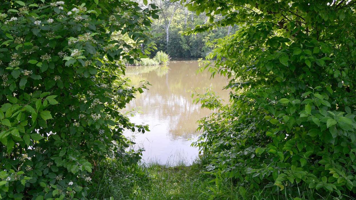City of Elgin gives Cook County Forest Preserve more than 20 aches