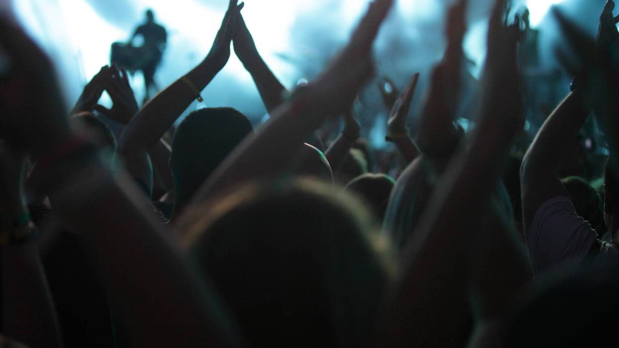clapping crowd at the concert, rear view