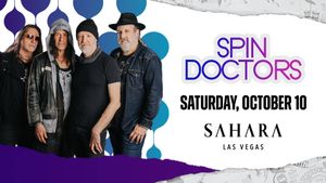 Spin Doctors