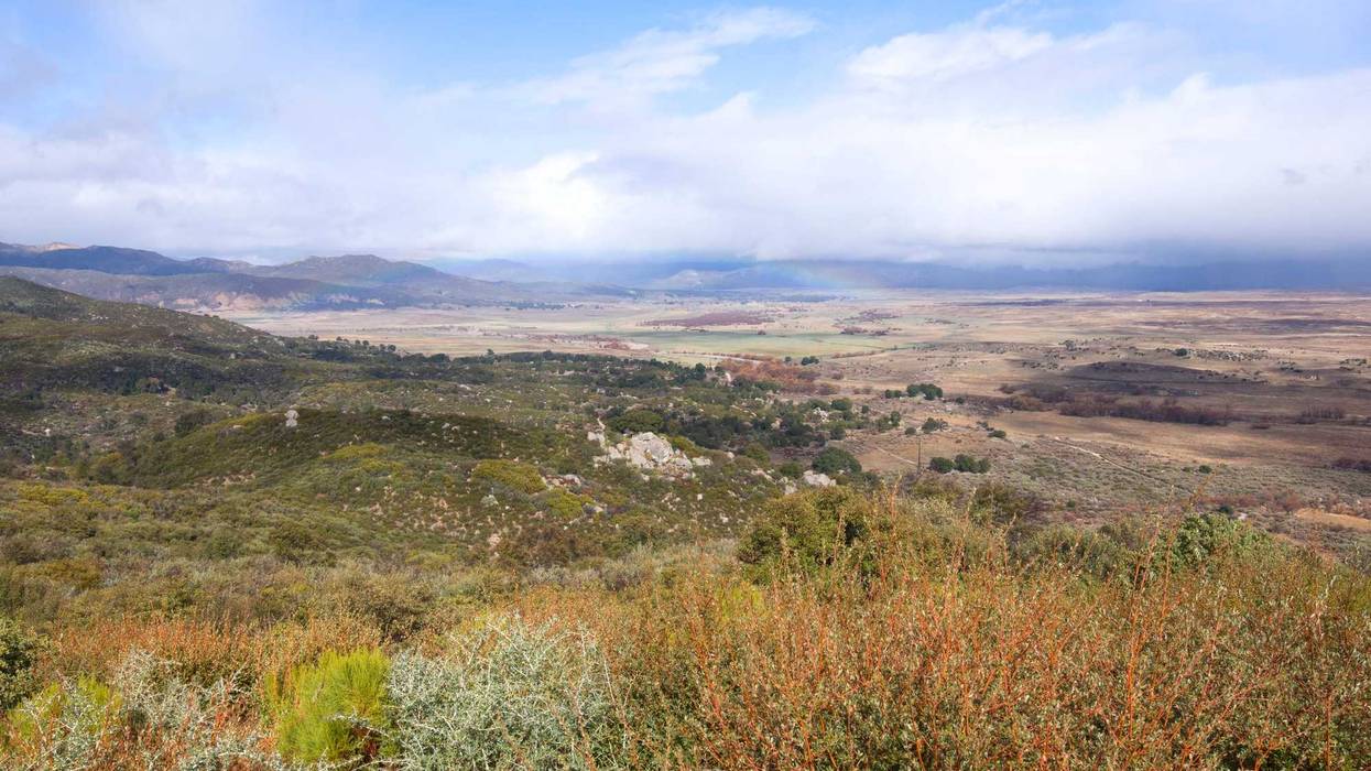 Cleveland national forest