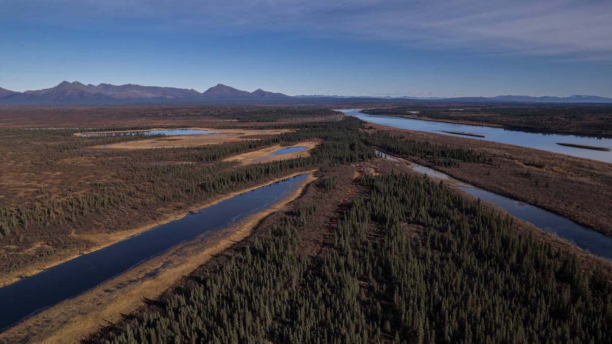 Climate Arctic Jungle 7