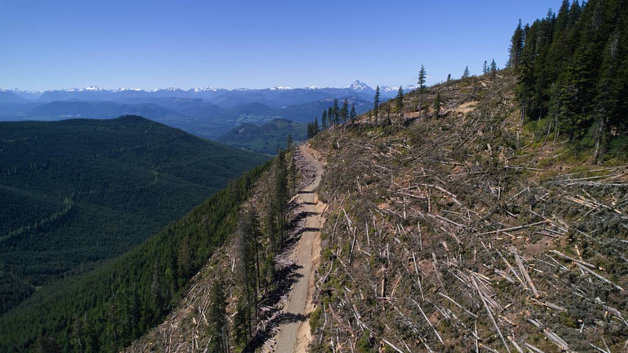 Climate Canada Deforestation 443