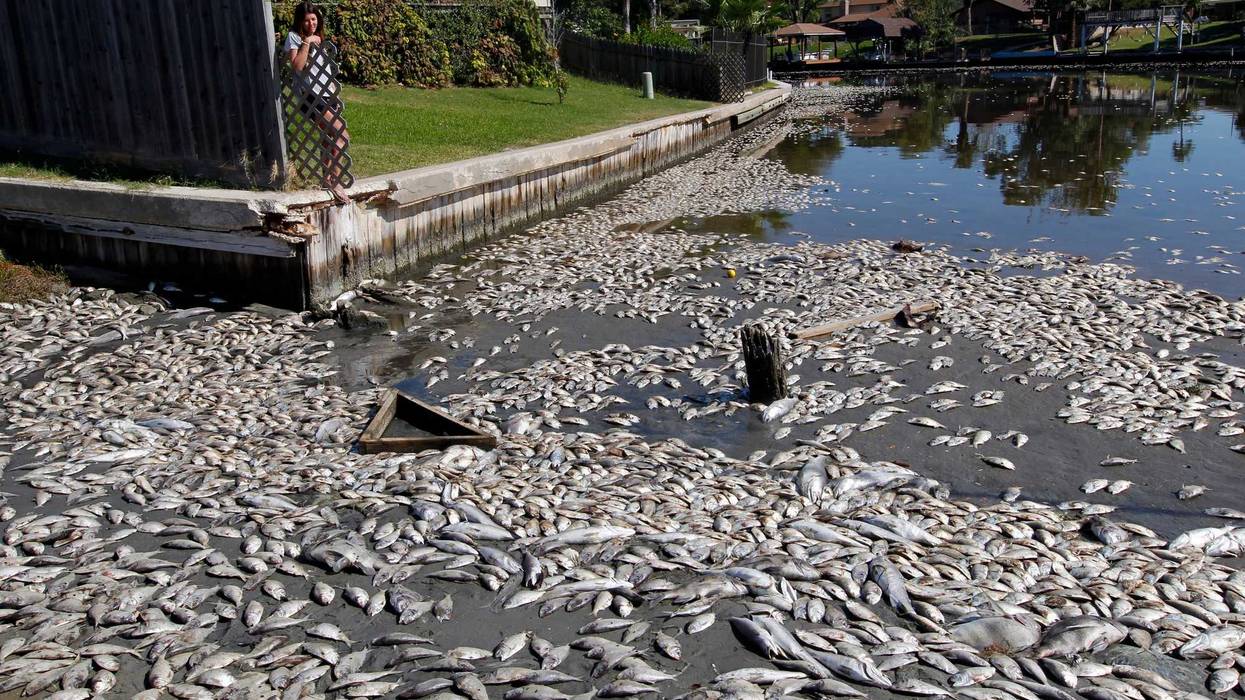 Climate Change Lakes