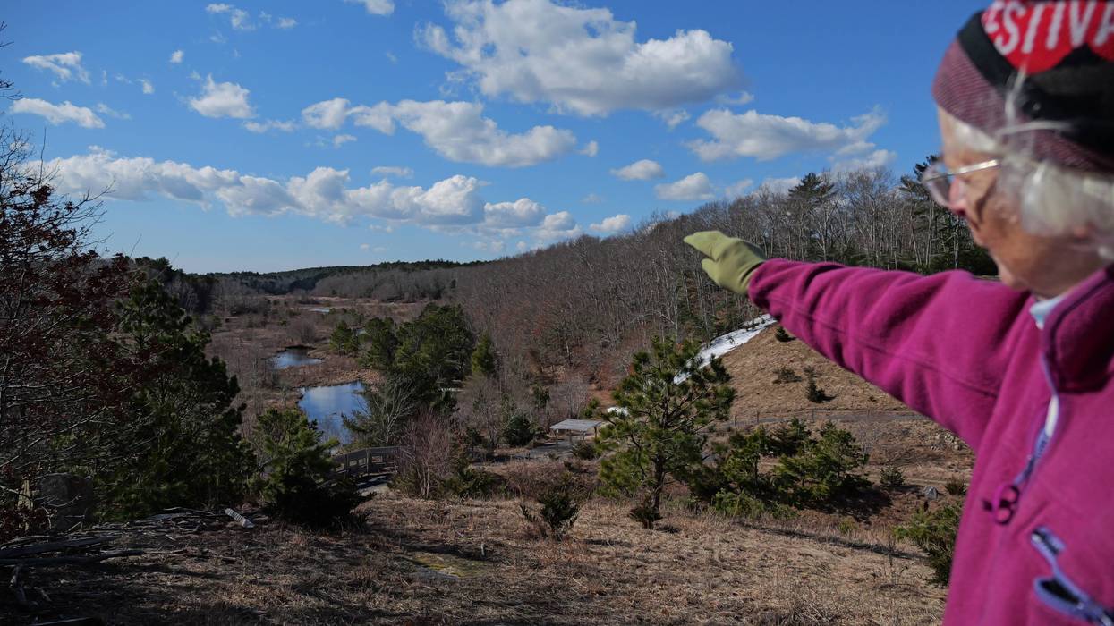 Climate Cranberry Bog Restoration