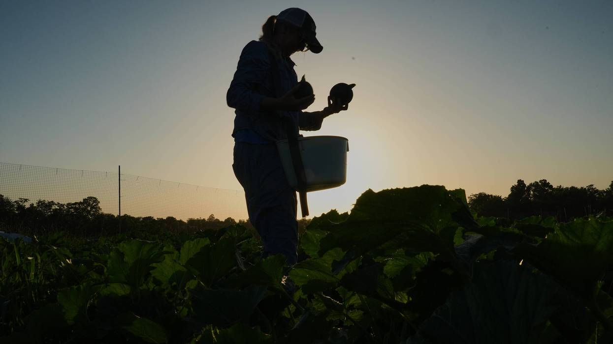 Climate Heat Specialty Crop Farms