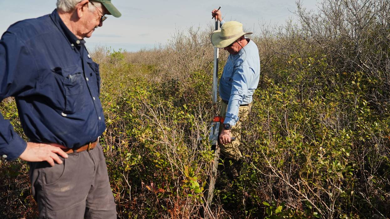 Climate Peatlands Restoration
