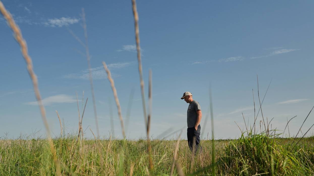 Climate Perennial Grains