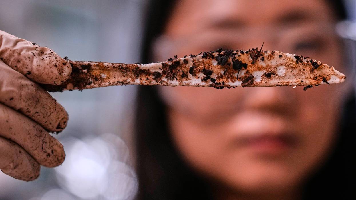 Climate Plastic Pollution Solutions