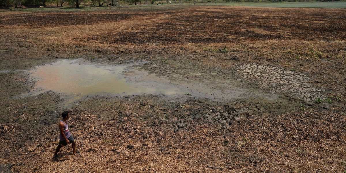 In drought-stricken Sri Lanka, farmers watch wells empty and wildlife crowd shrinking water holes