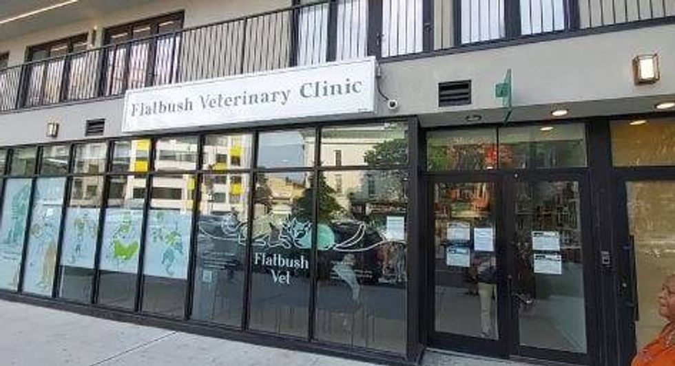CLINICA DE GATOS NYC