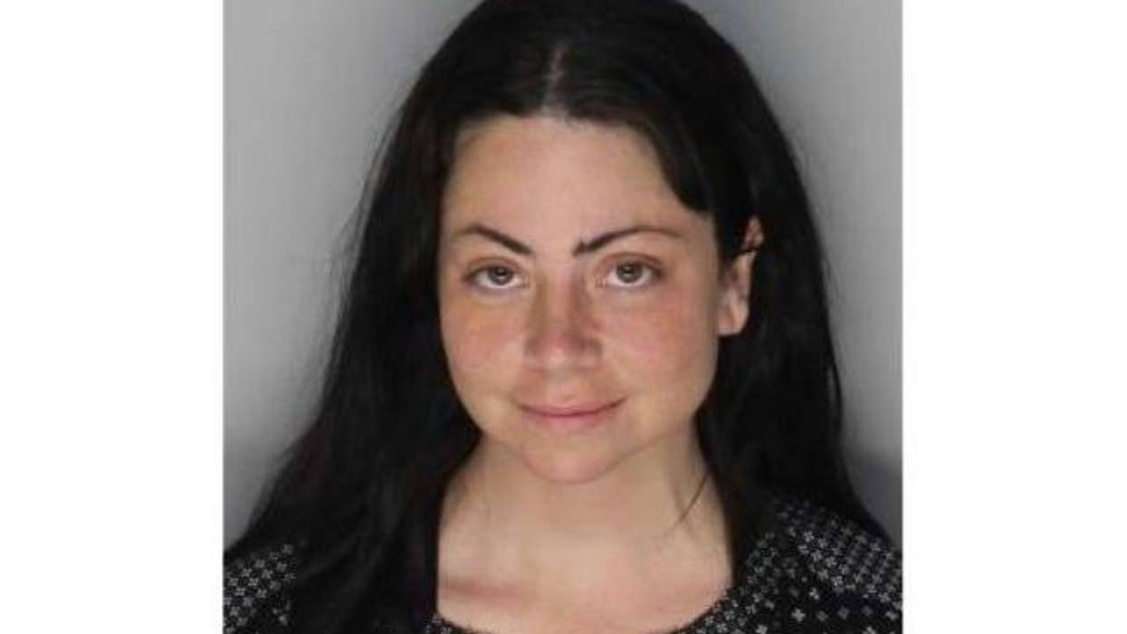 Clinton Twp woman charged with ethnic intimidation in connection with anti-Semitic graffiti at Royal Oak synagogue has criminal history