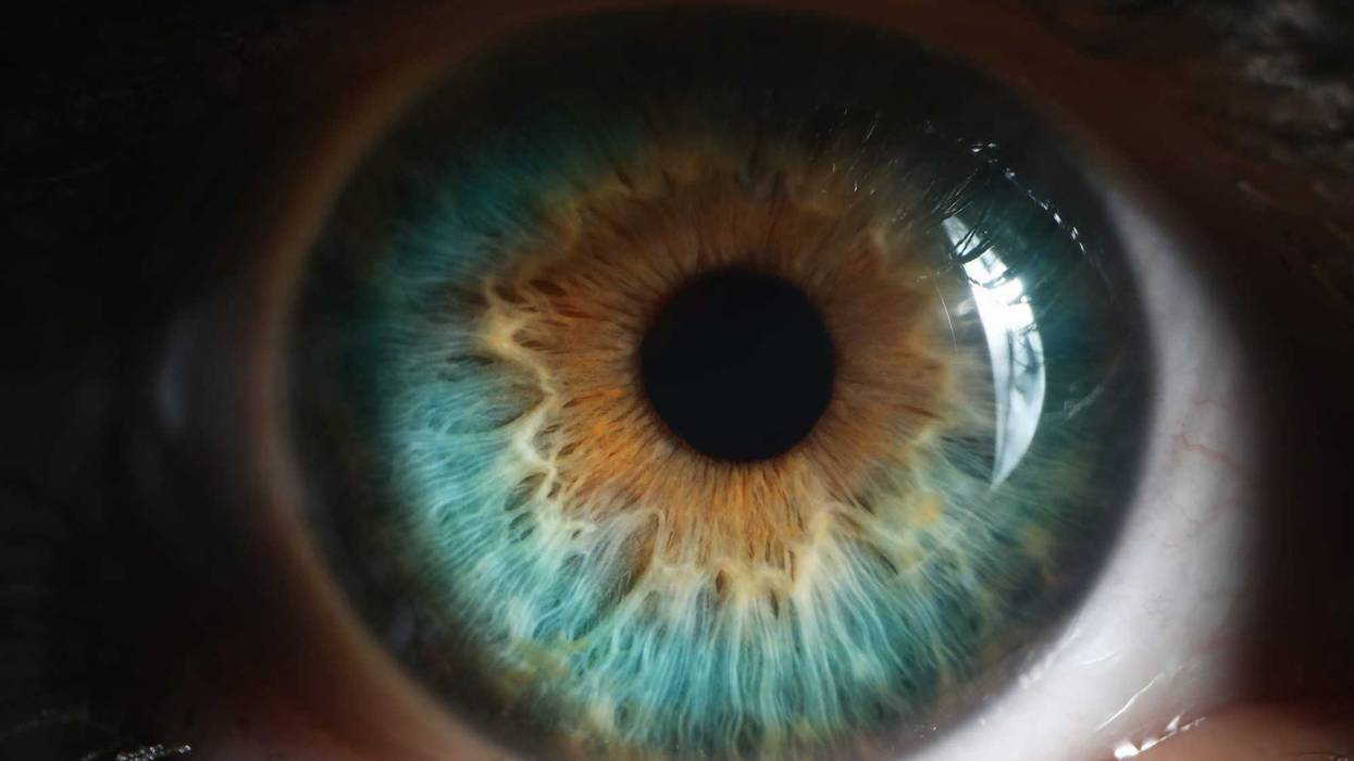Closeup of green human eye in low light technique. Hyperopia, myopia, astigmatism and laser vision correction