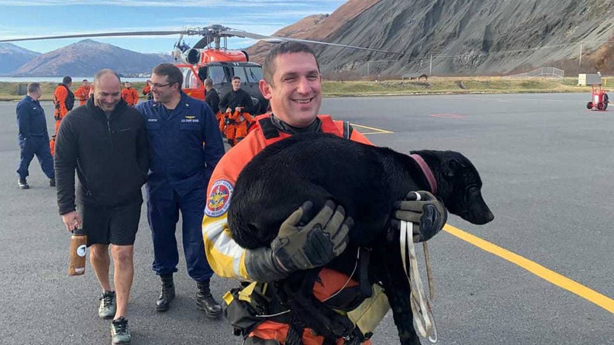 Coast Guard rescues lost puppy from Black Point in Alaska