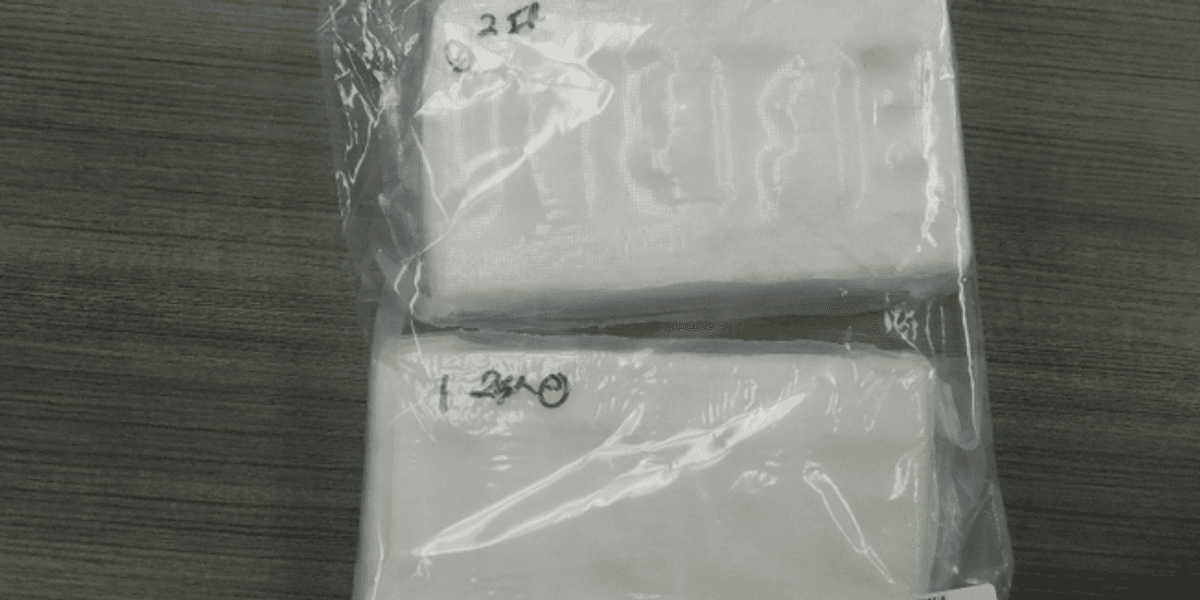 17 arrested in drug bust