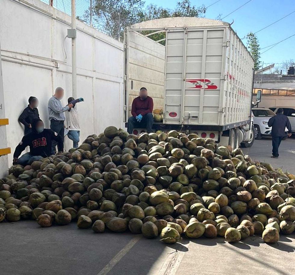 Coconuts filled with drugs next to the truck they were being transported in.