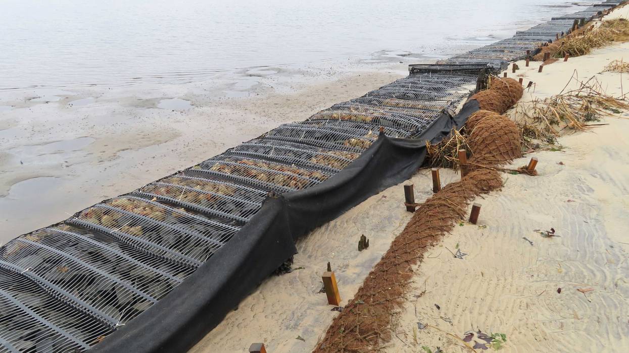 Coconuts Shoreline Protection
