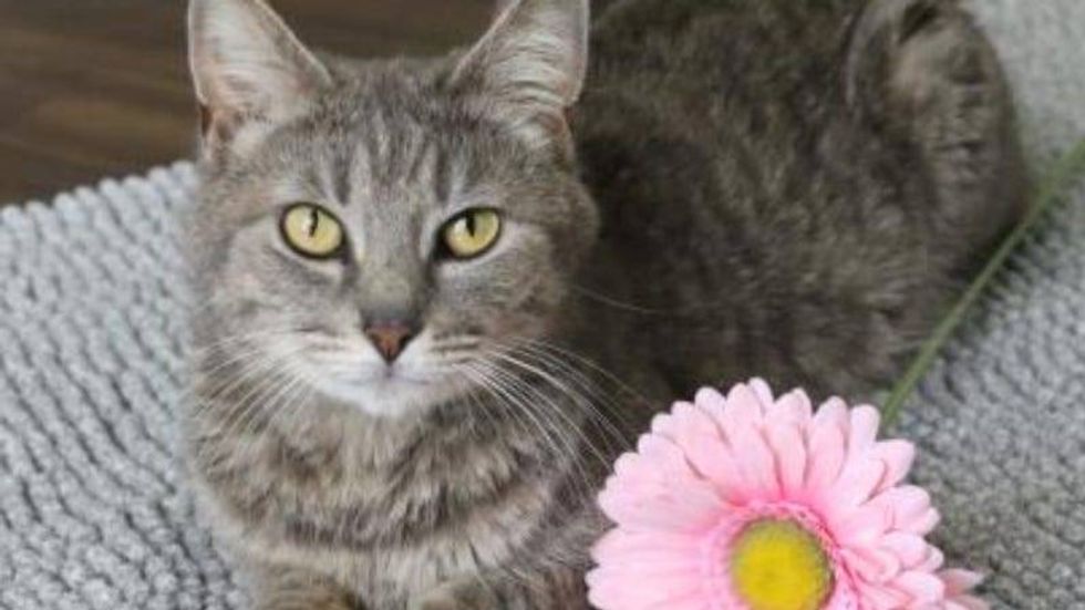 Coffee Bean @ Austin Humane Society 5/11/22