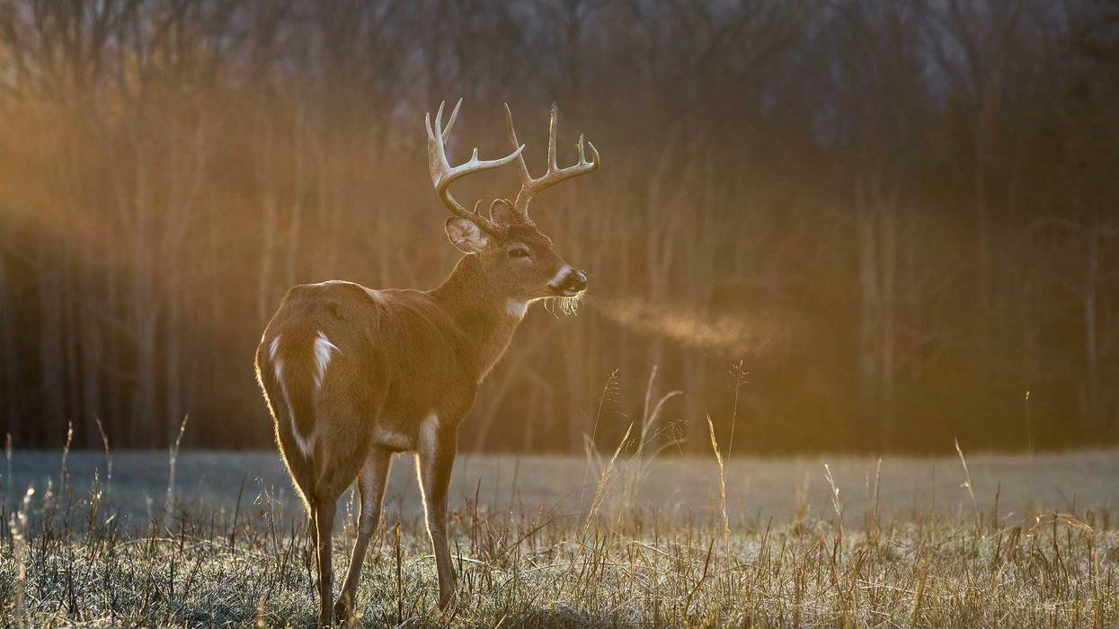 Cold temperatures across much of the U.S. and even snow in parts of the Northern Plains are forecast beginning this weekend. In Minnesota, it'll be chilly but don't expect any snow that does fall to stick.