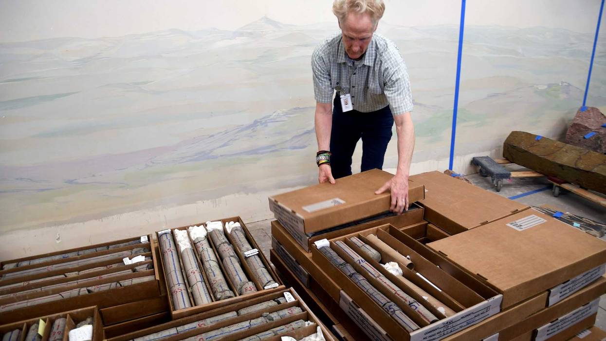 Colorado Parking Lot Dino