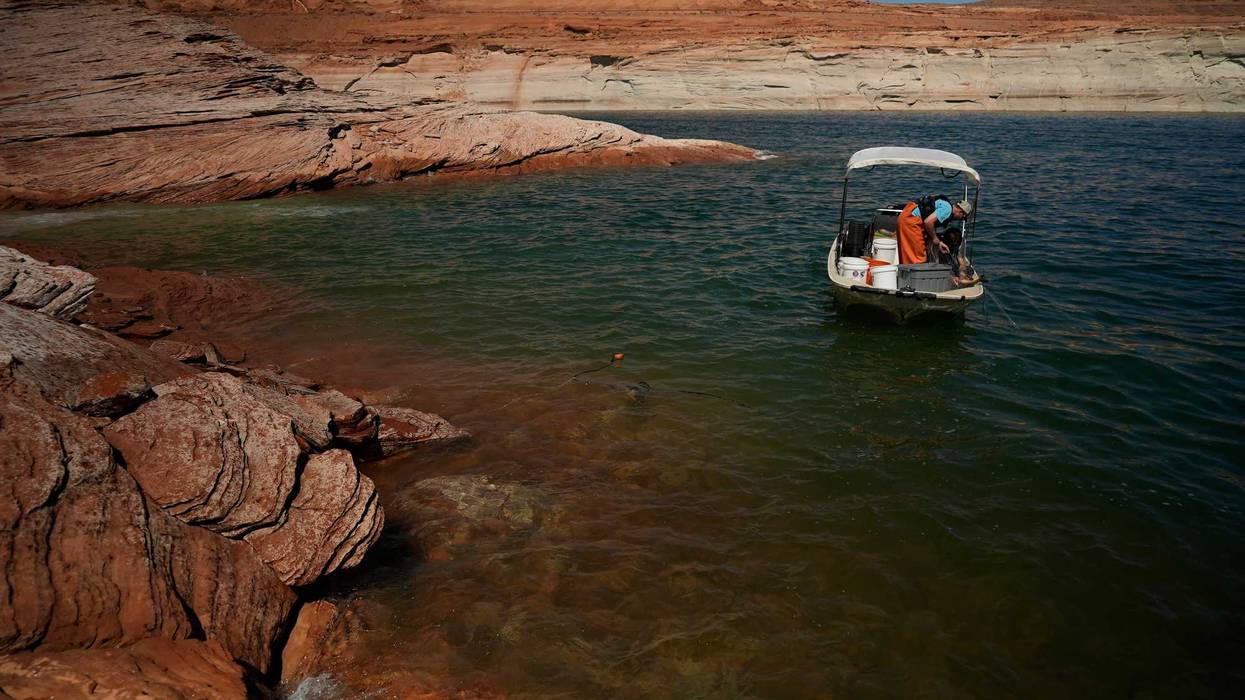 Colorado River Imperiled Fish