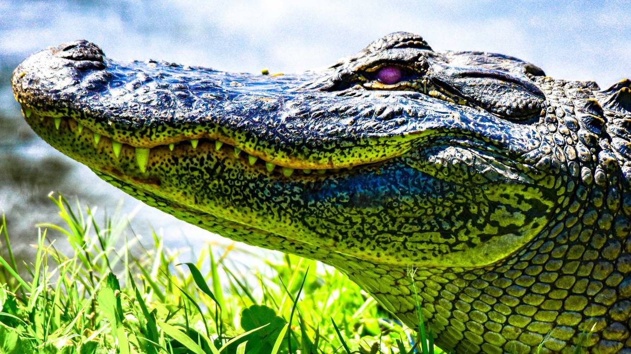 Colorful images gathered from Florida in various areas around the state. Photos contain dynamic lighting and color gradients.