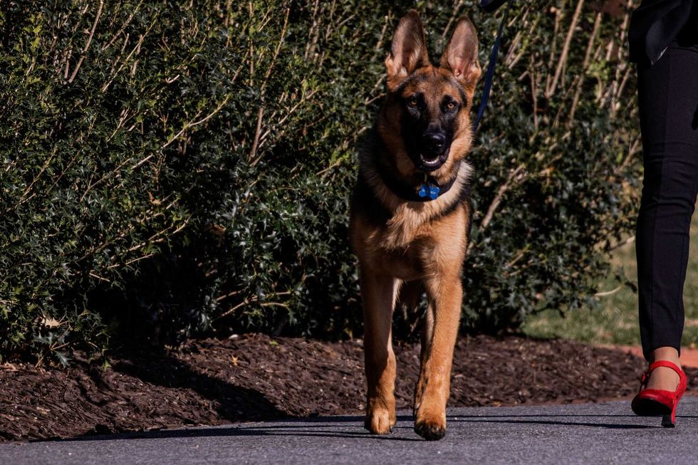 Commander, U.S. President Joe Biden