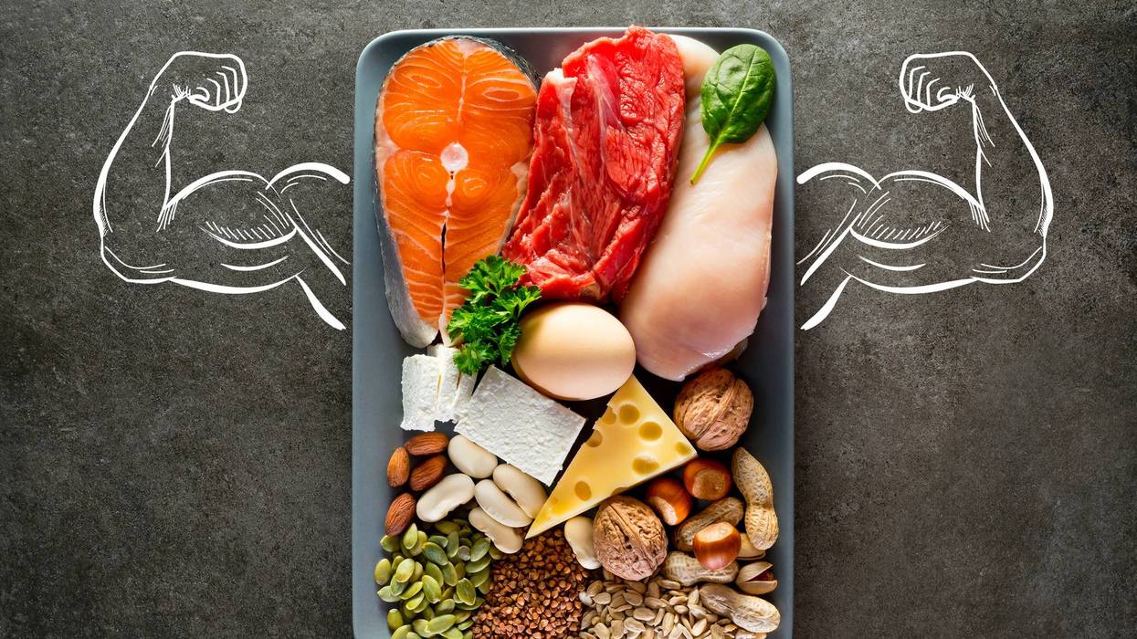 Composition with high protein food.
