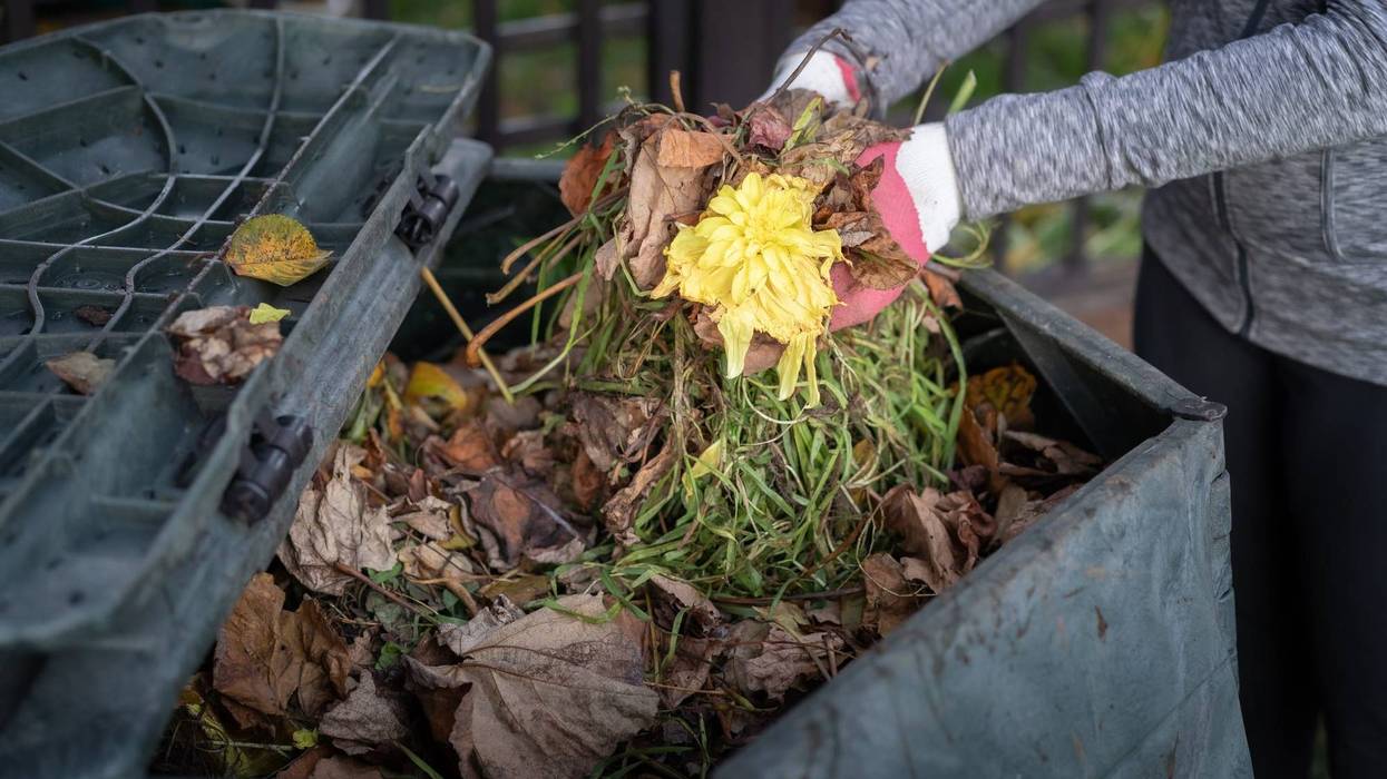 Compost