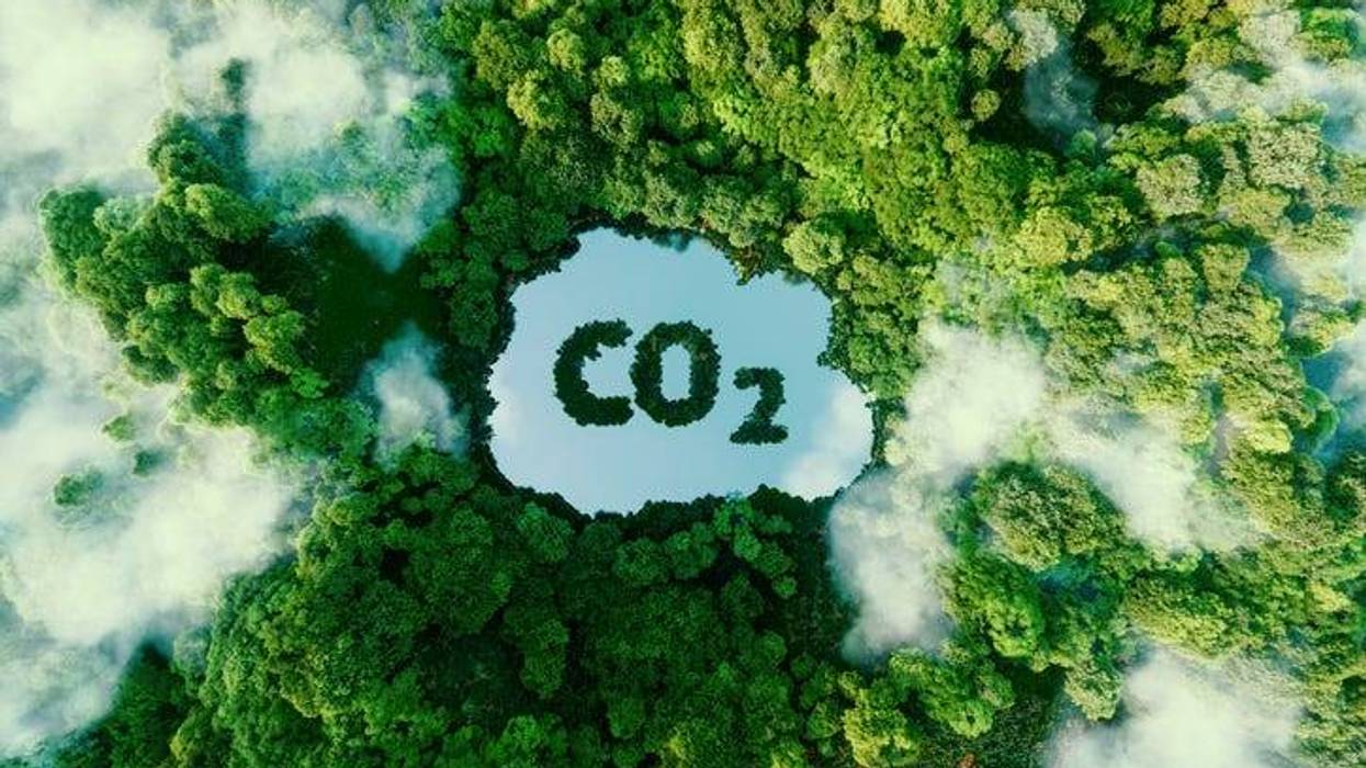 Concept depicting the issue of carbon dioxide emissions and its impact on nature in the form of a pond in the shape of a co2 symbol located in a lush forest.